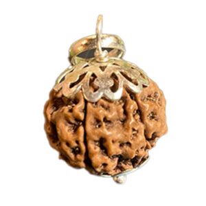 Rudraksha