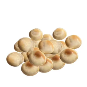 Cowrie Shells