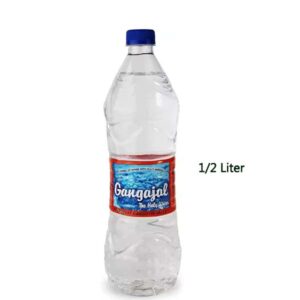 Gangajal -500ml