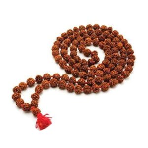 Rudraksha Faces Mala